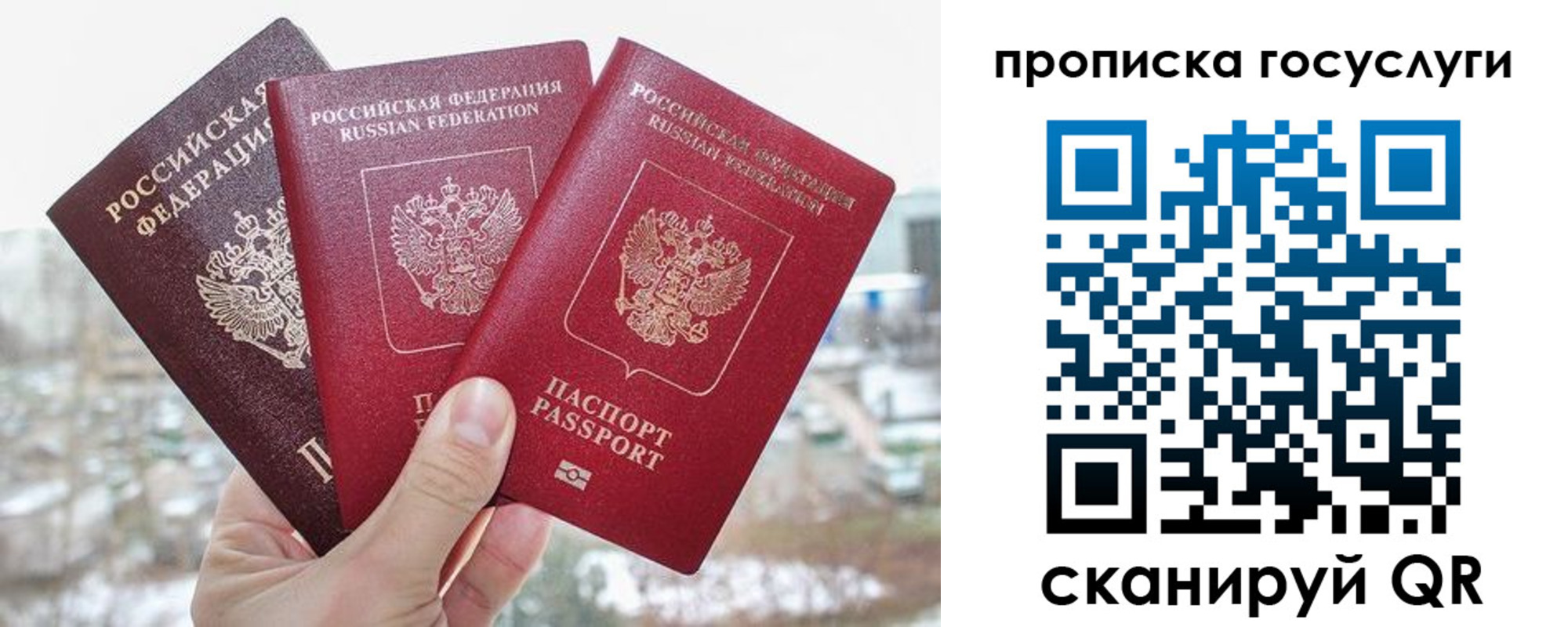 прописка законно в Кандалакше